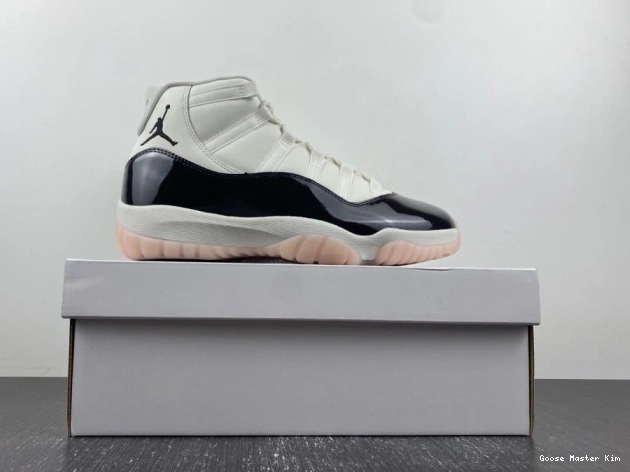 11 Jordan AR0715-101 Air Neapolitan 0519